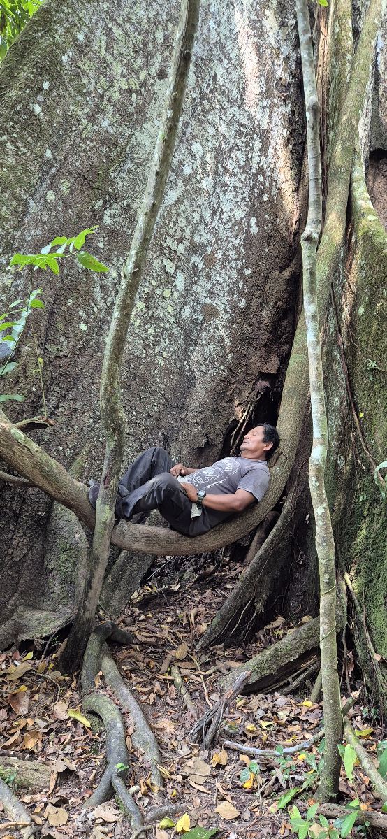 Amazon Tour 4 days $384