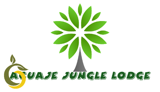 Iquitos Peru Amazon Lodge